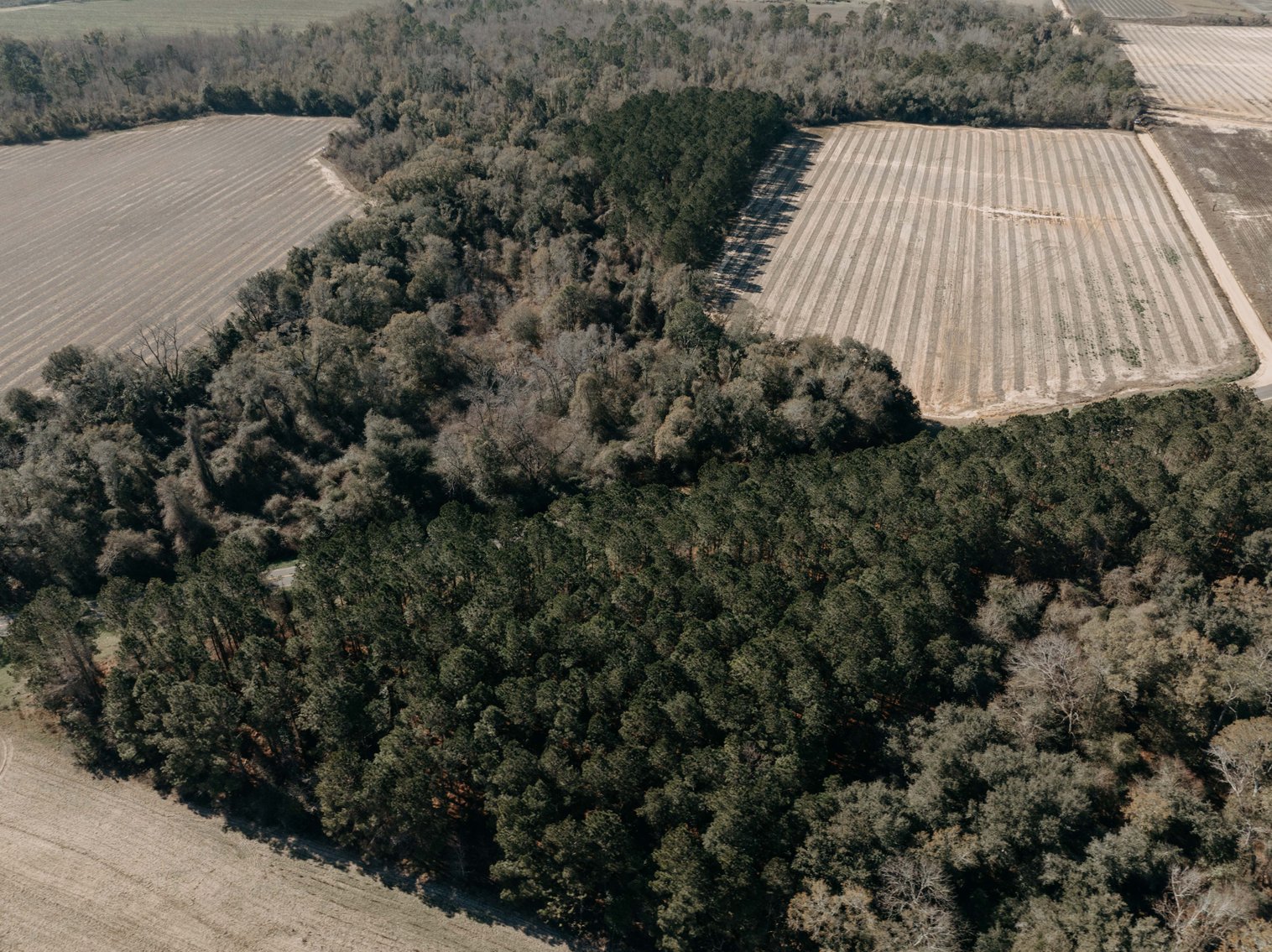 Image for *SOLD* 365.4 +/- Acres of Prime Baker County Farmland – Agricultural, Timber, and Recreational Opportunities *SOLD*