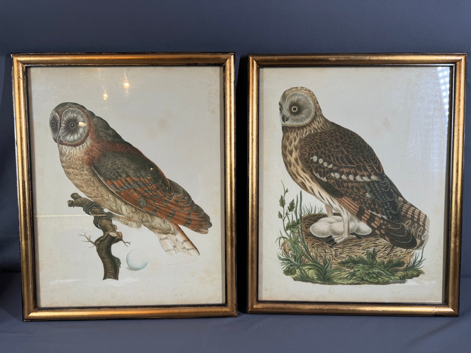 Image for The Estate of Mary Wise, 18th & 19th Century Antiques, Furniture, Fine China, Oriental Rugs, Mid-Century Decor, Original Art & More!