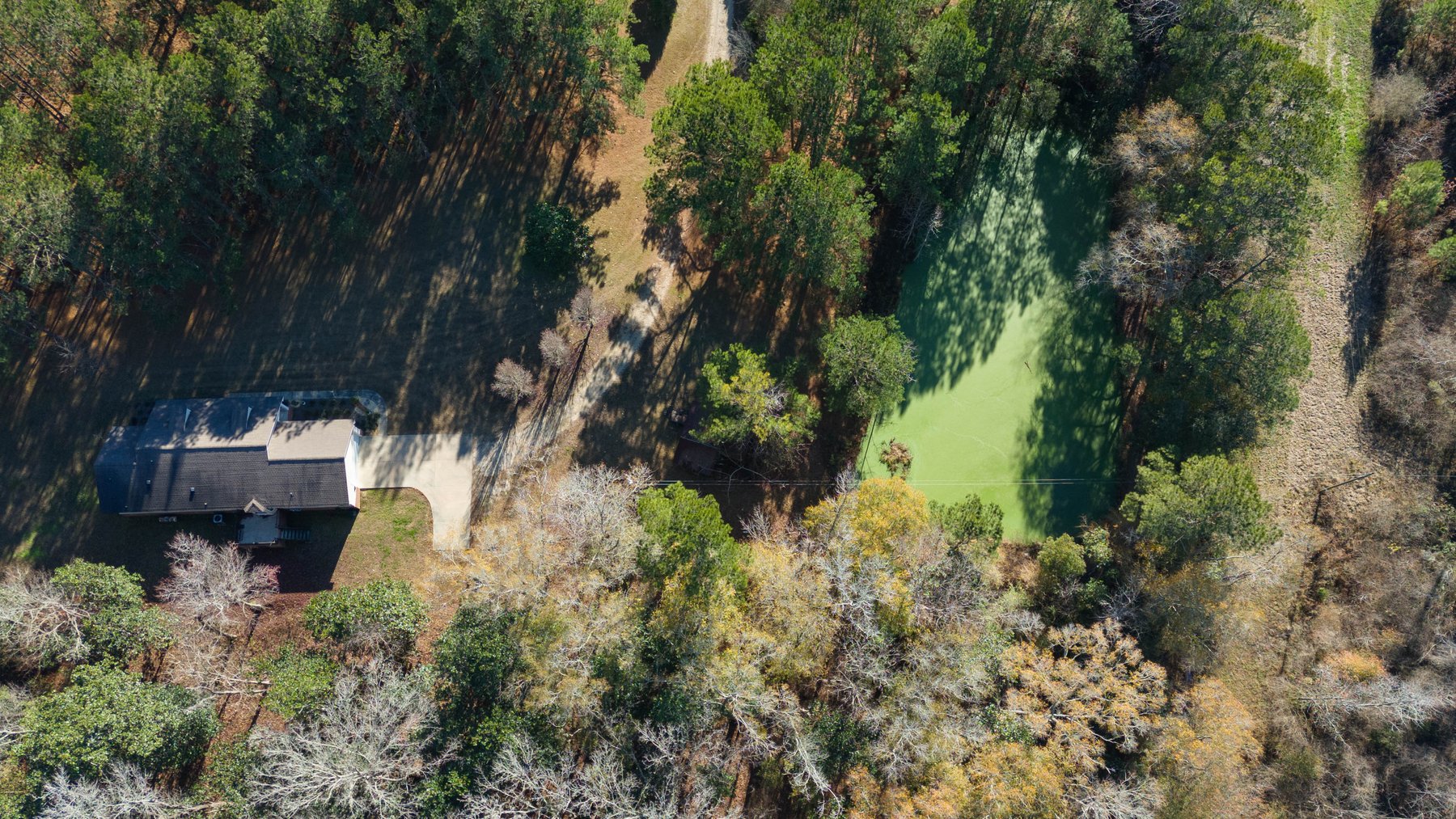 Image for Prime Investment Opportunity. Two Homes on 7.24 Acres Pine Park Road, Cairo, GA