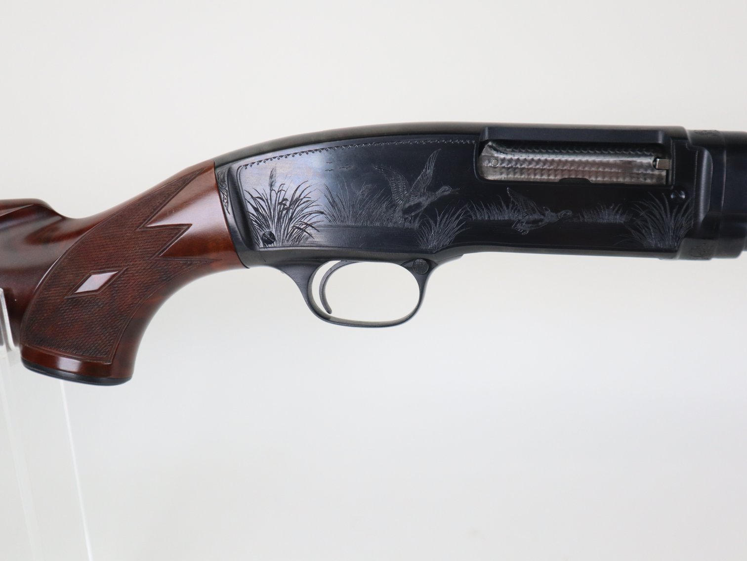 Image for Summer Sportsman Auction 2025