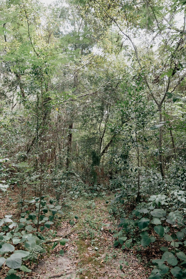 Image for 2,472 +/- Sq Ft Brick Home on 5 Acres in Thomas County, Georgia