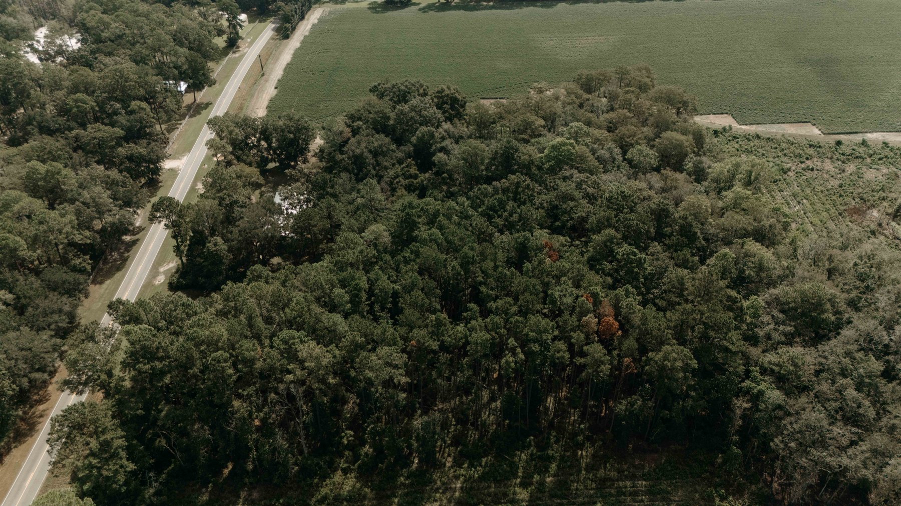 Image for 2,472 +/- Sq Ft Brick Home on 5 Acres in Thomas County, Georgia