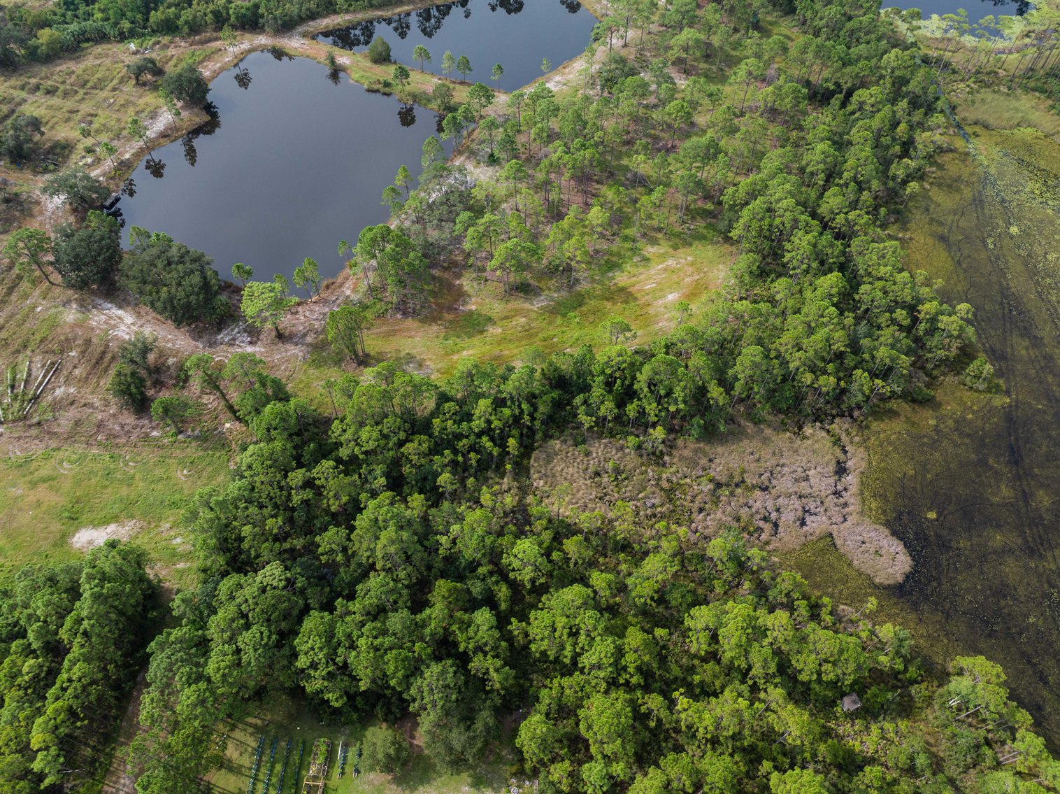 Image for 61± Acres on Coastal Hwy – Panacea, FL – Gateway to the Gulf Coast