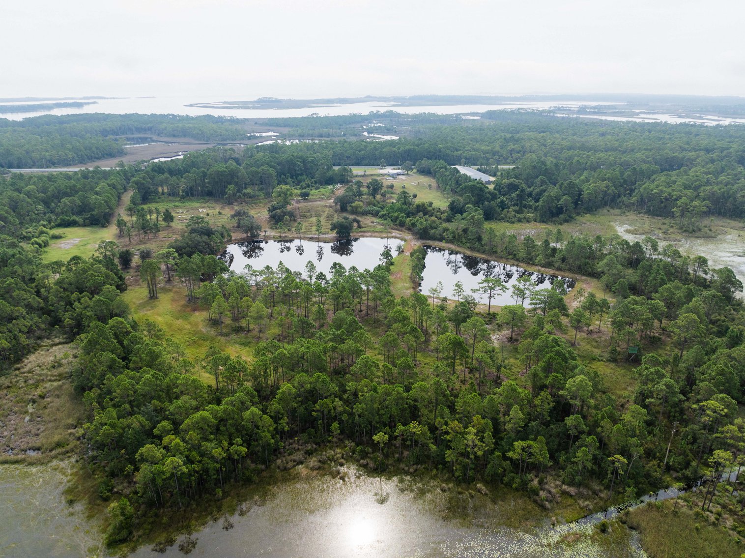 Image for 61± Acres on Coastal Hwy – Panacea, FL – Gateway to the Gulf Coast