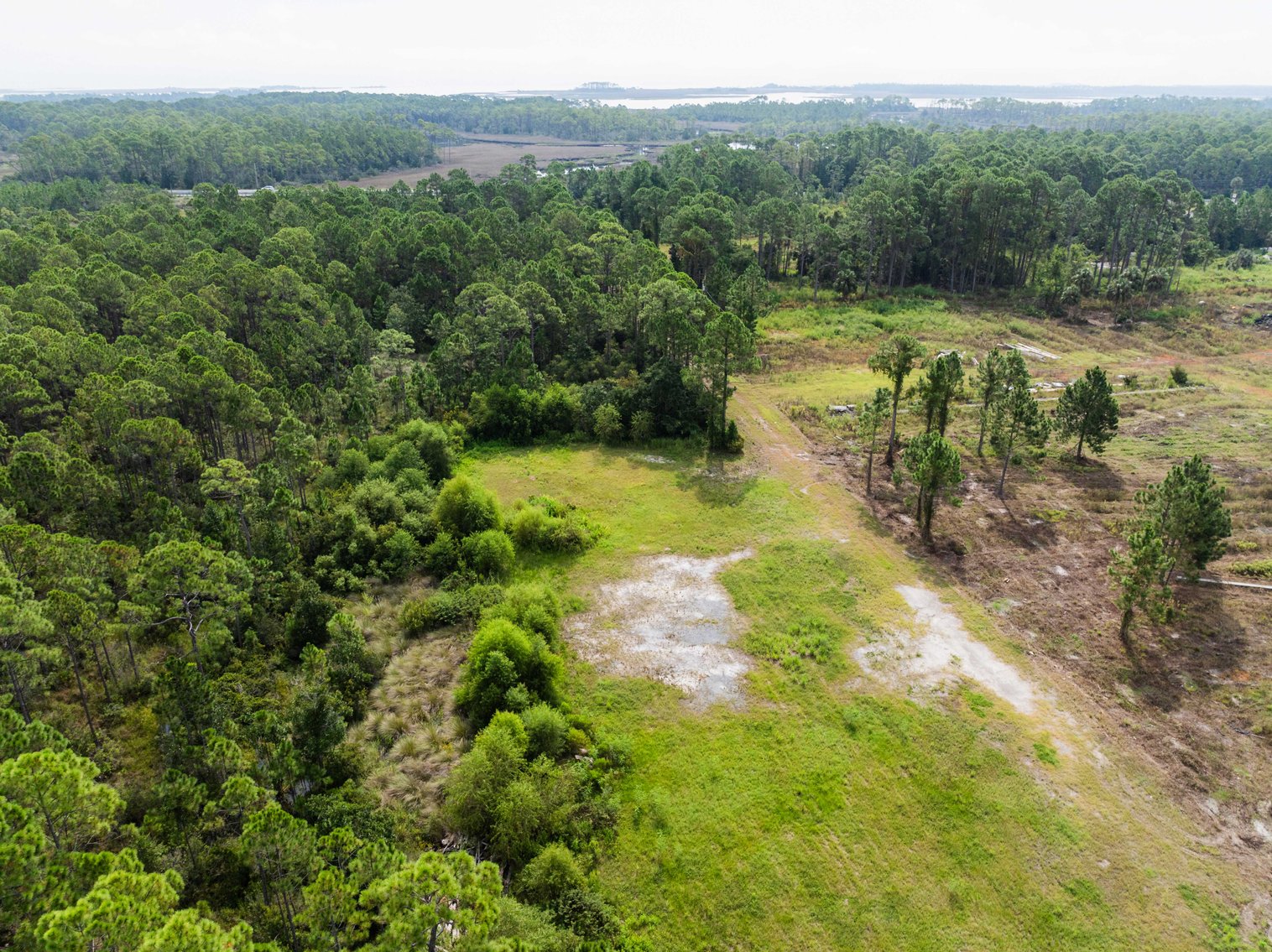 Image for 61± Acres on Coastal Hwy – Panacea, FL – Gateway to the Gulf Coast