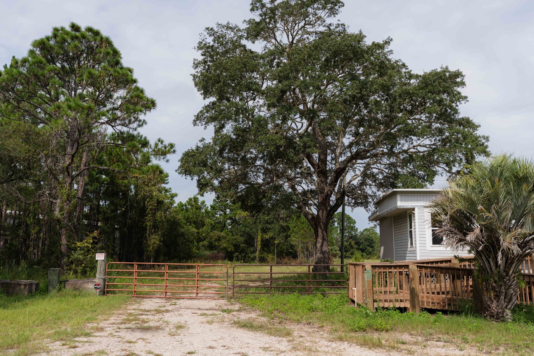 Image for 61± Acres on Coastal Hwy – Panacea, FL – Gateway to the Gulf Coast