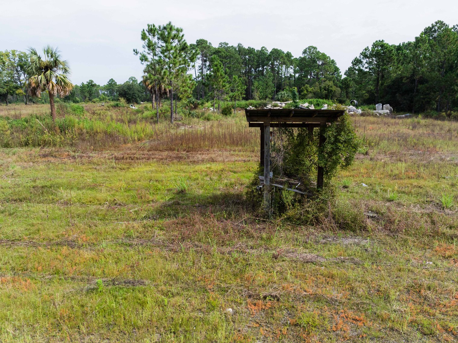 Image for 61± Acres on Coastal Hwy – Panacea, FL – Gateway to the Gulf Coast