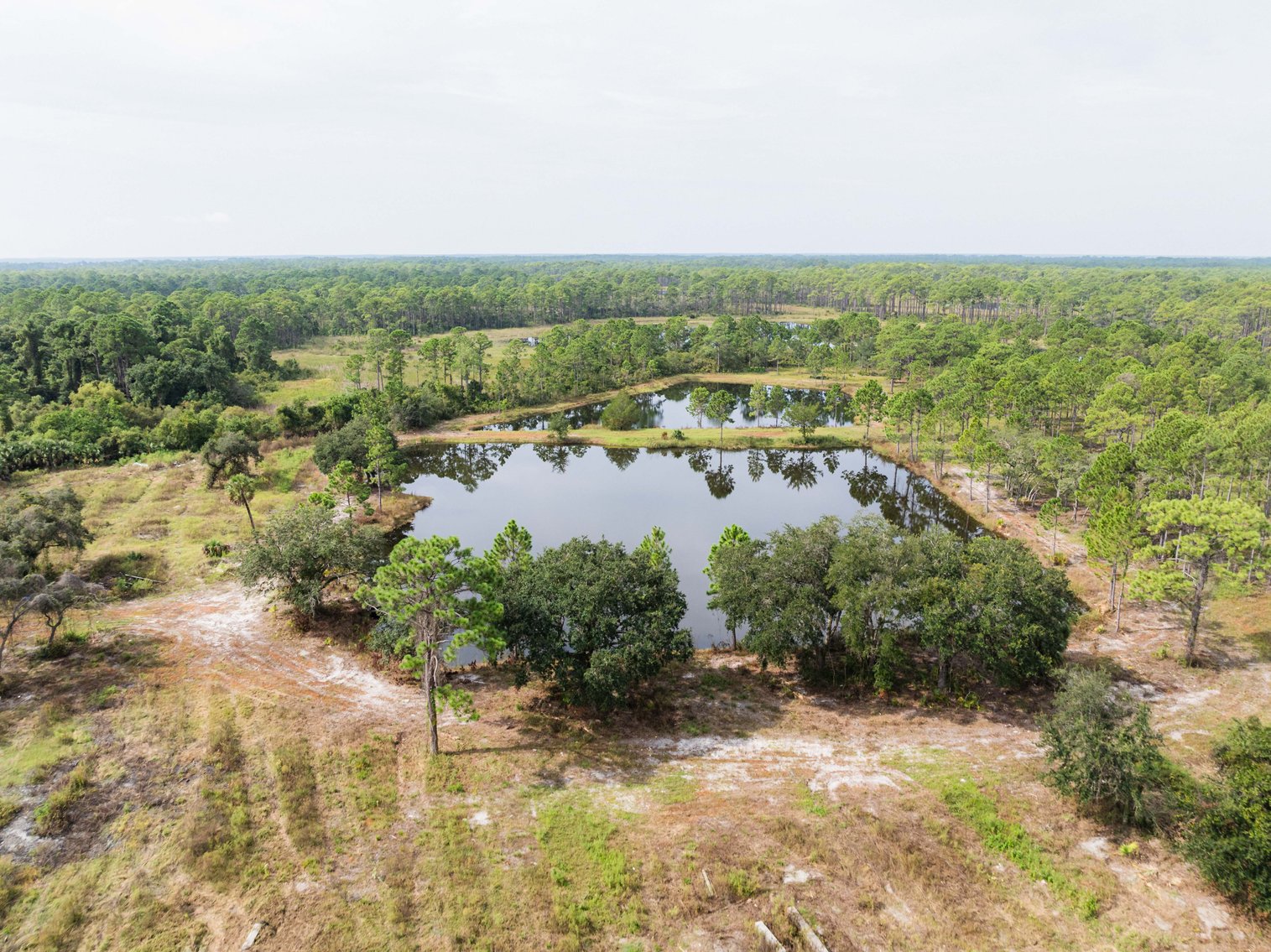 Image for 61± Acres on Coastal Hwy – Panacea, FL – Gateway to the Gulf Coast