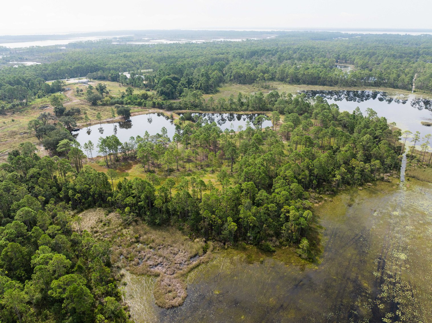 Image for 61± Acres on Coastal Hwy – Panacea, FL – Gateway to the Gulf Coast