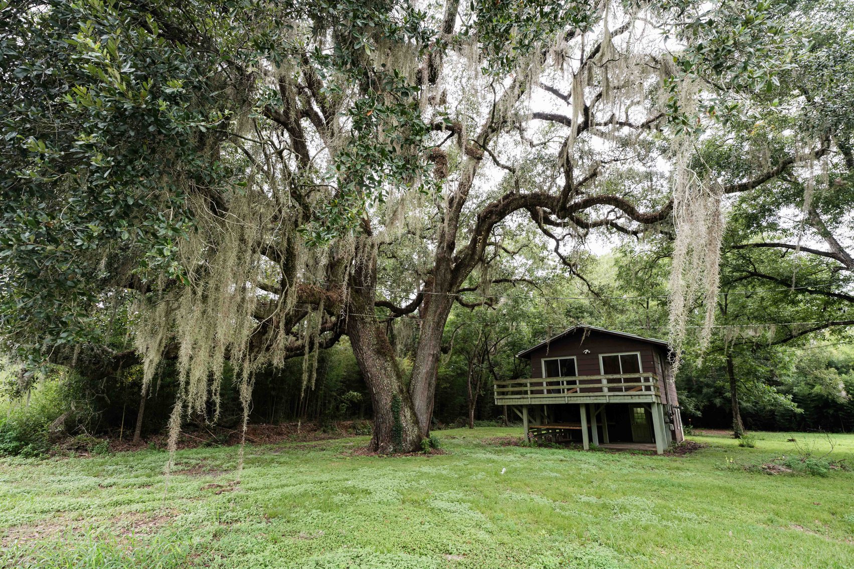 Image for Havana, Florida Investment Opportunity -- Home on 1 Acre