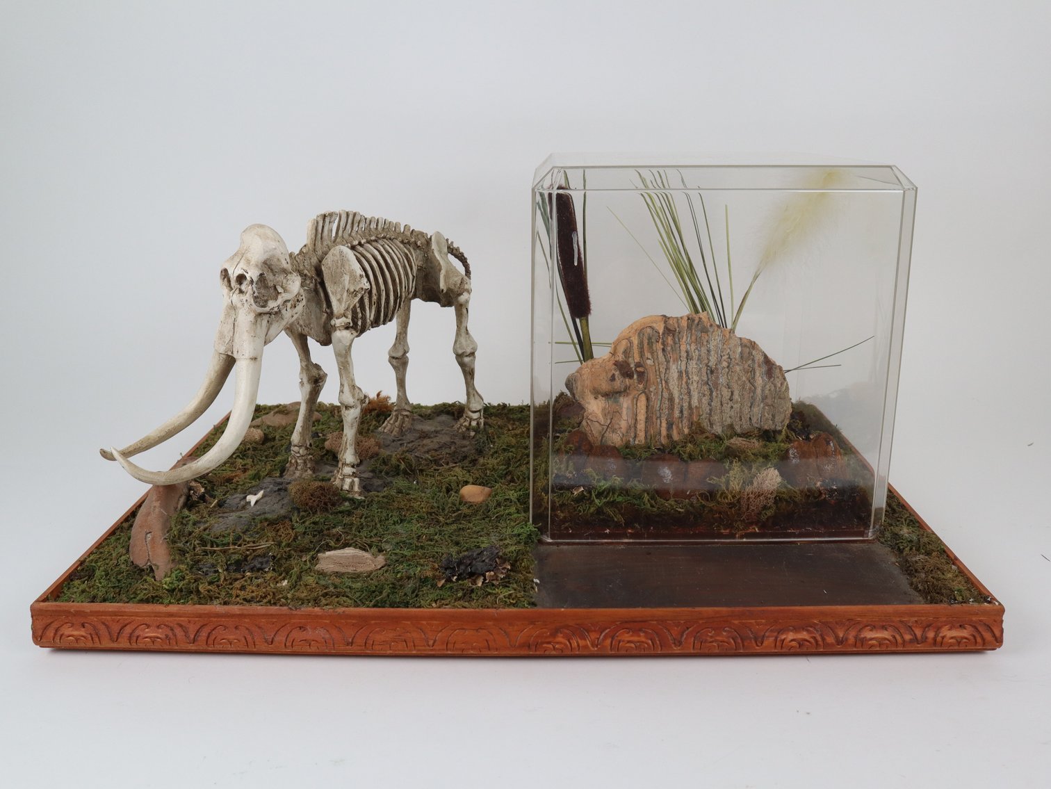 Image for Fall 2025 Sportsman Auction Day 1 with Artifacts, Collectibles, Military Memorabilia,  and More!