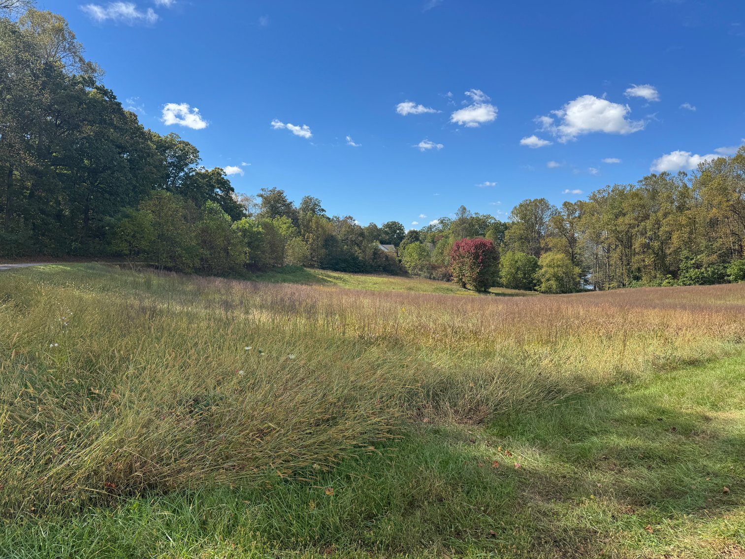 Image for Two Sutton Cove Building Lots with Mountain and Lake Chatuge Views