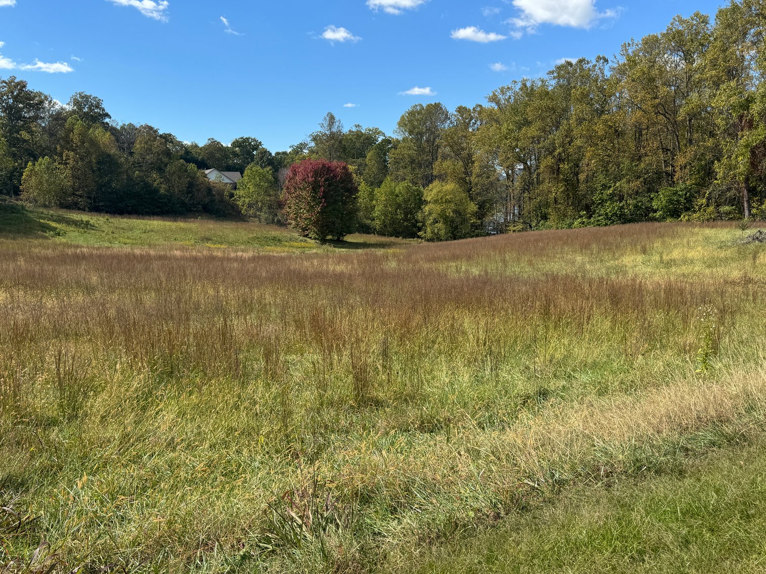 Image for Two Sutton Cove Building Lots with Mountain and Lake Chatuge Views