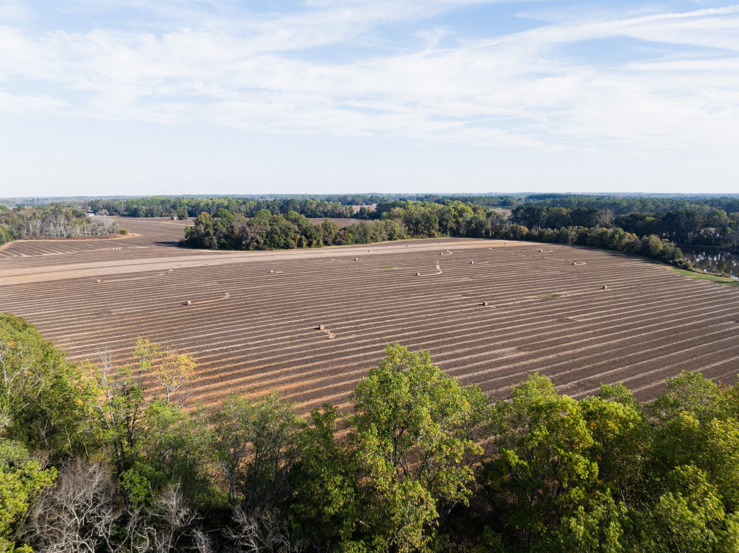 Image for The Redfearn Estate - Sealed Bid Auction