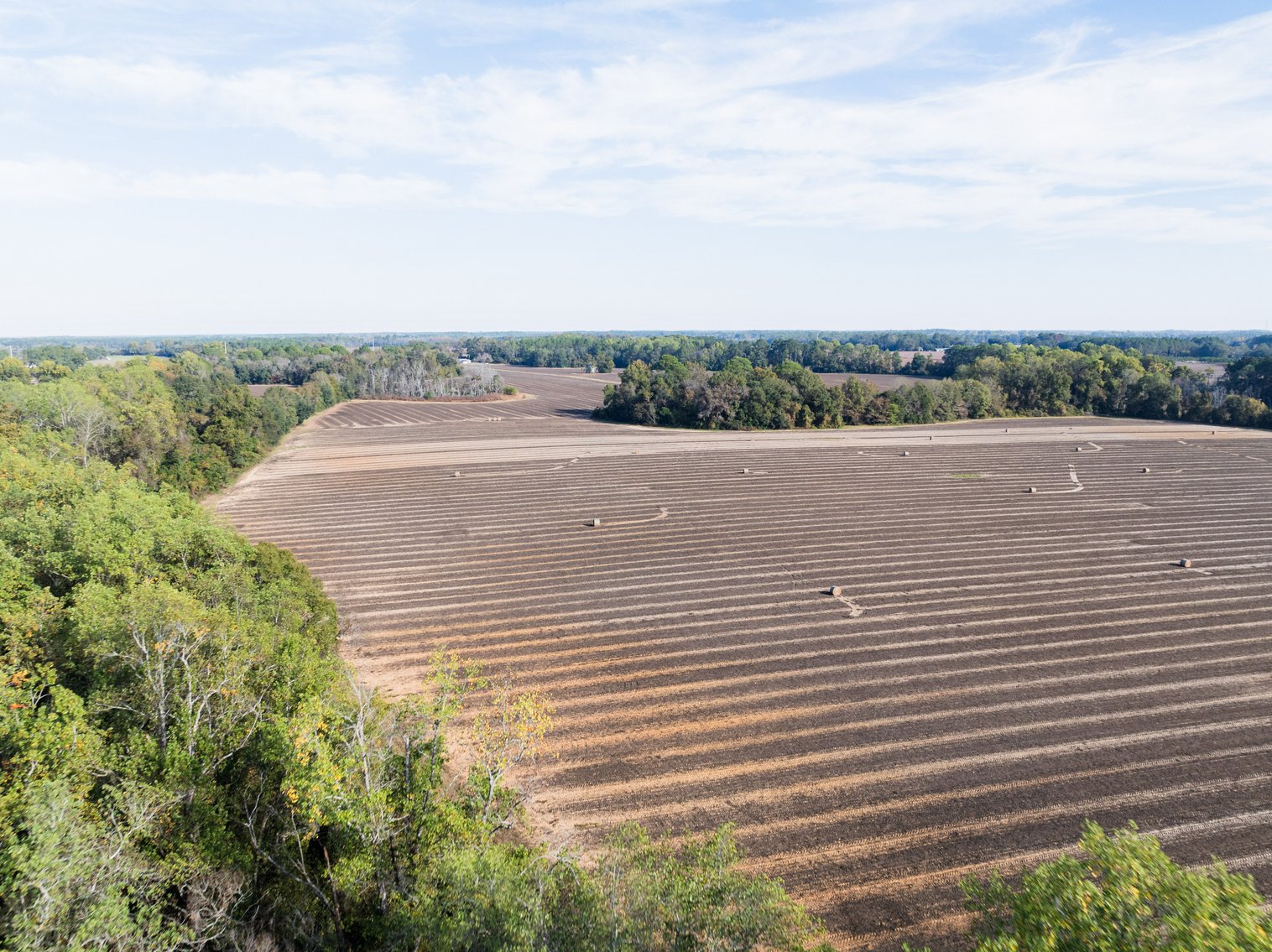 Image for The Redfearn Estate - Sealed Bid Auction