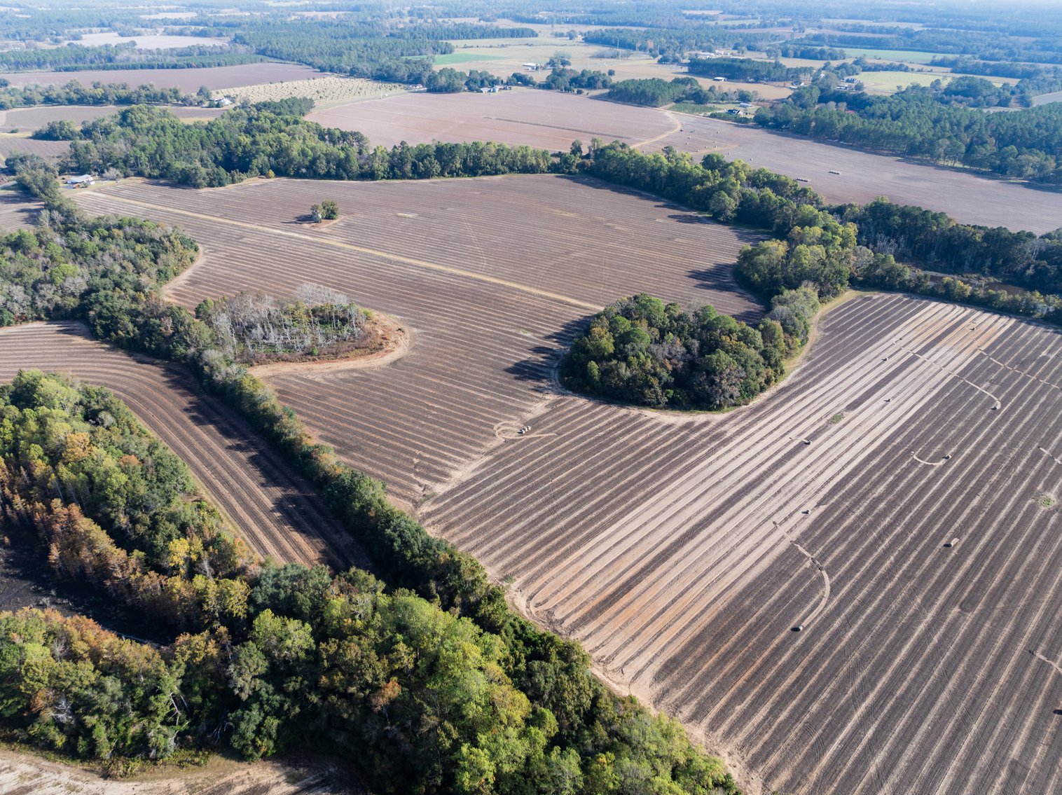 Image for The Redfearn Estate - Sealed Bid Auction