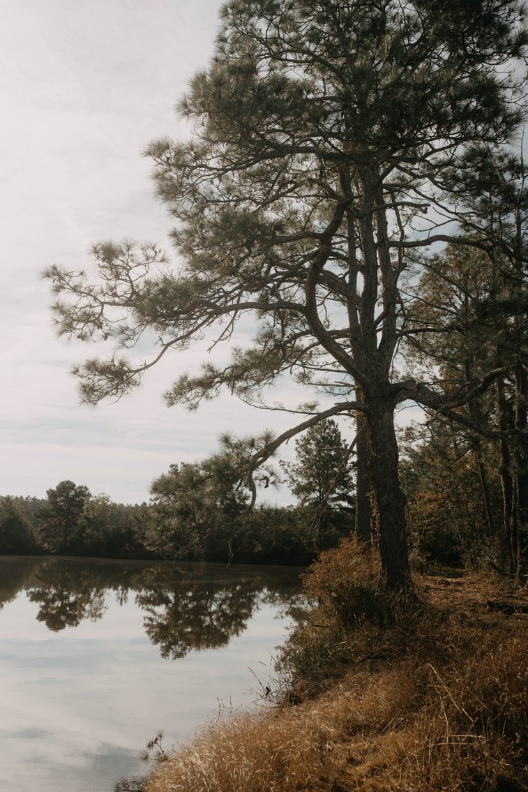 Image for The Redfearn Estate - Sealed Bid Auction