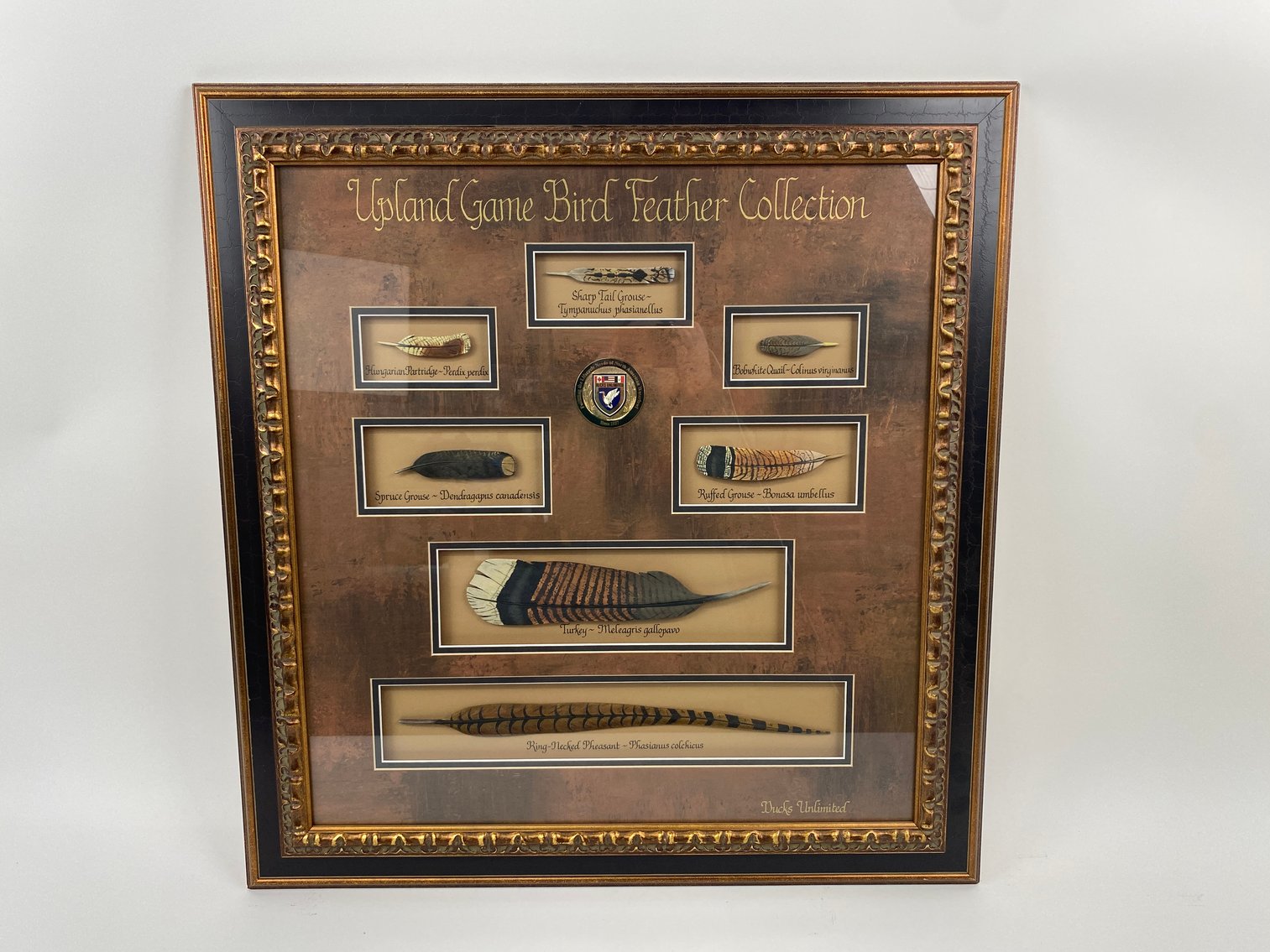 Image for Winter 2026 Sportsman Auction