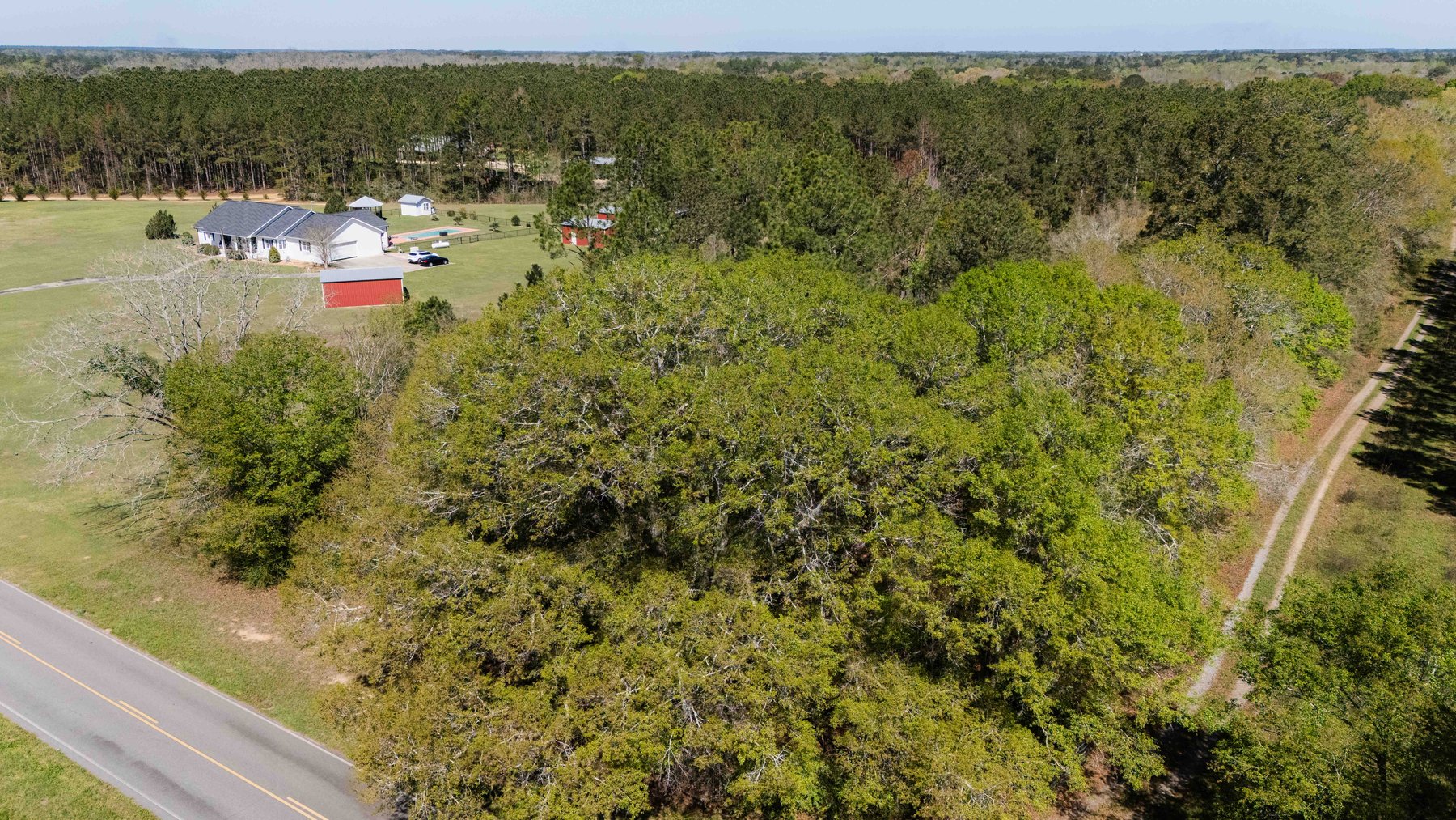 Image for 15.05± Acres of Planted Pine Timberland | Mitchell County, GA