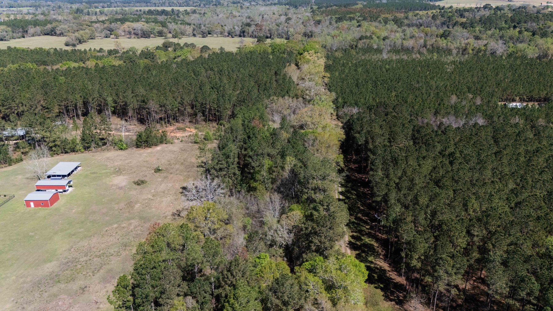 Image for 15.05± Acres of Planted Pine Timberland | Mitchell County, GA