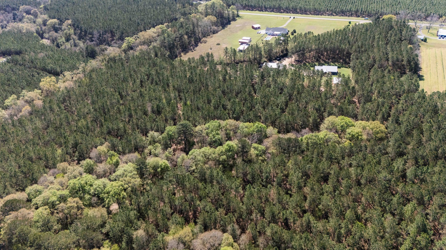 Image for 15.05± Acres of Planted Pine Timberland | Mitchell County, GA