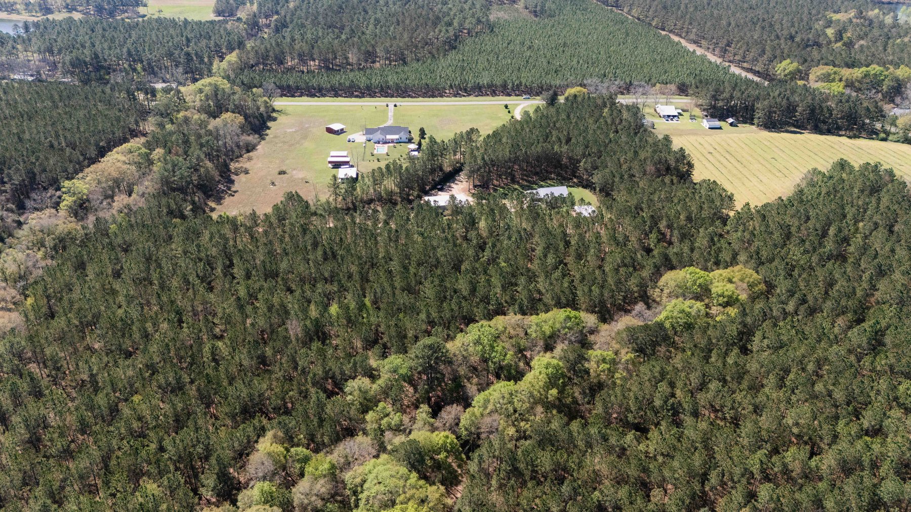 Image for 15.05± Acres of Planted Pine Timberland | Mitchell County, GA