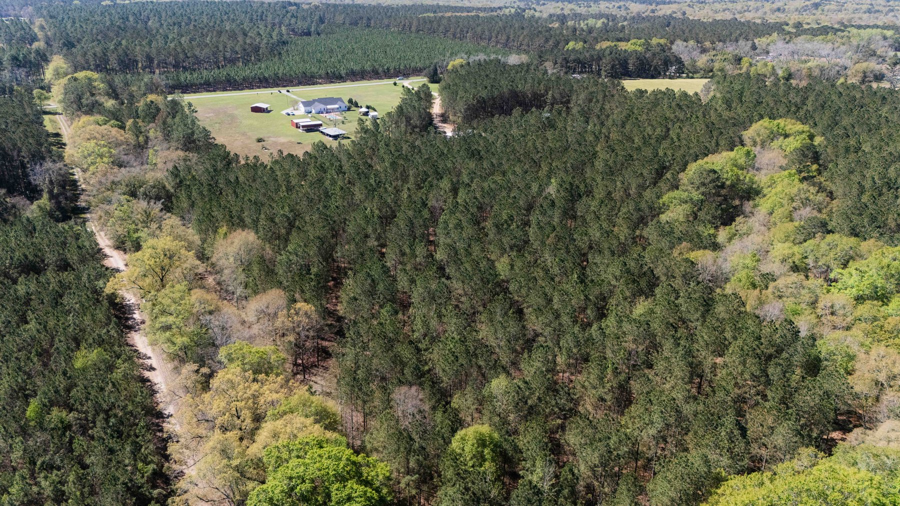 Image for 15.05± Acres of Planted Pine Timberland | Mitchell County, GA