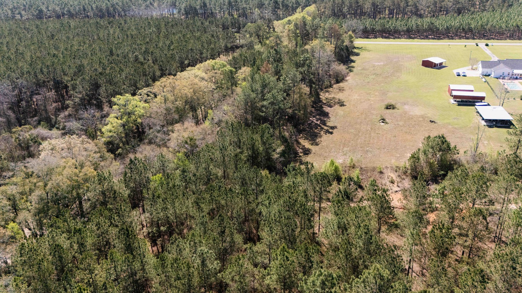 Image for 15.05± Acres of Planted Pine Timberland | Mitchell County, GA