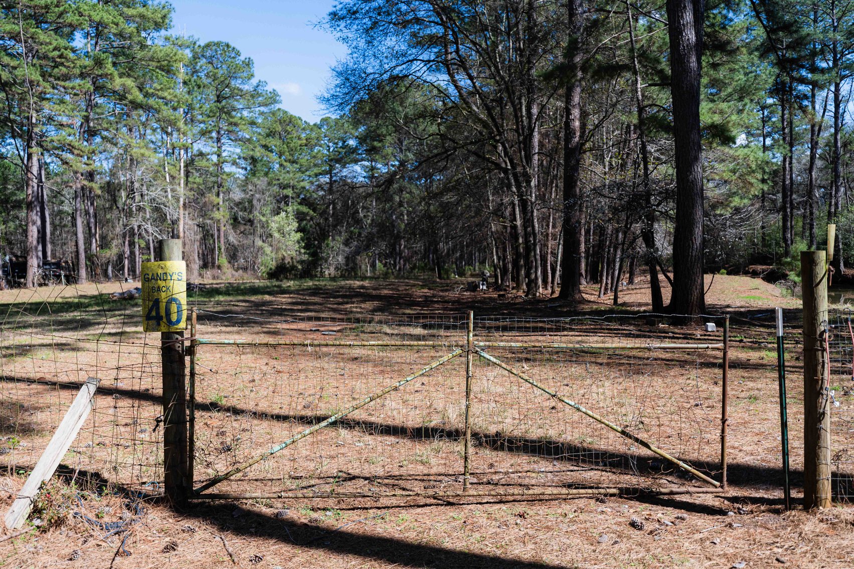 Image for Country Estate Home on 7.98± Acres | Albany, Georgia