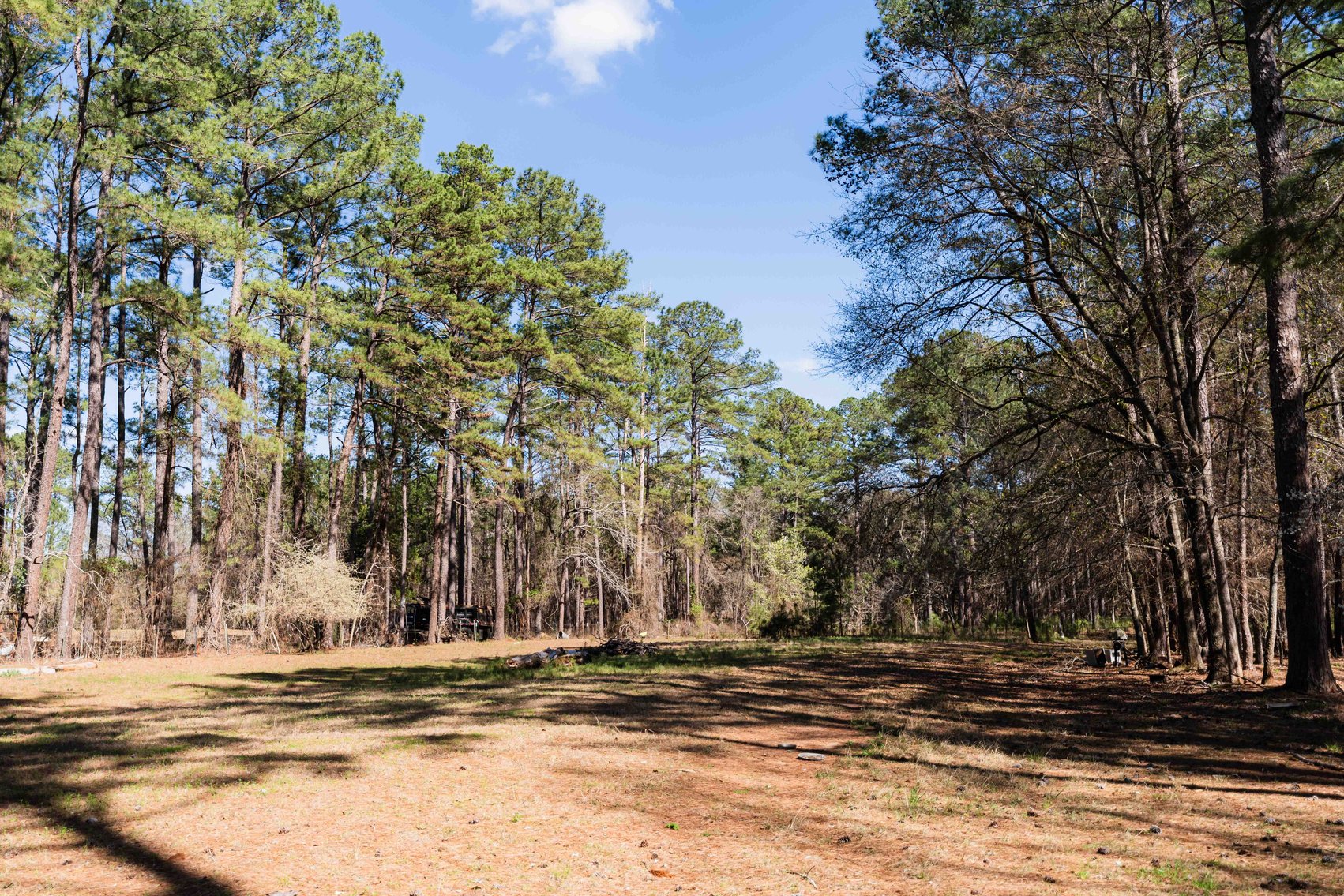 Image for Country Estate Home on 7.98± Acres | Albany, Georgia
