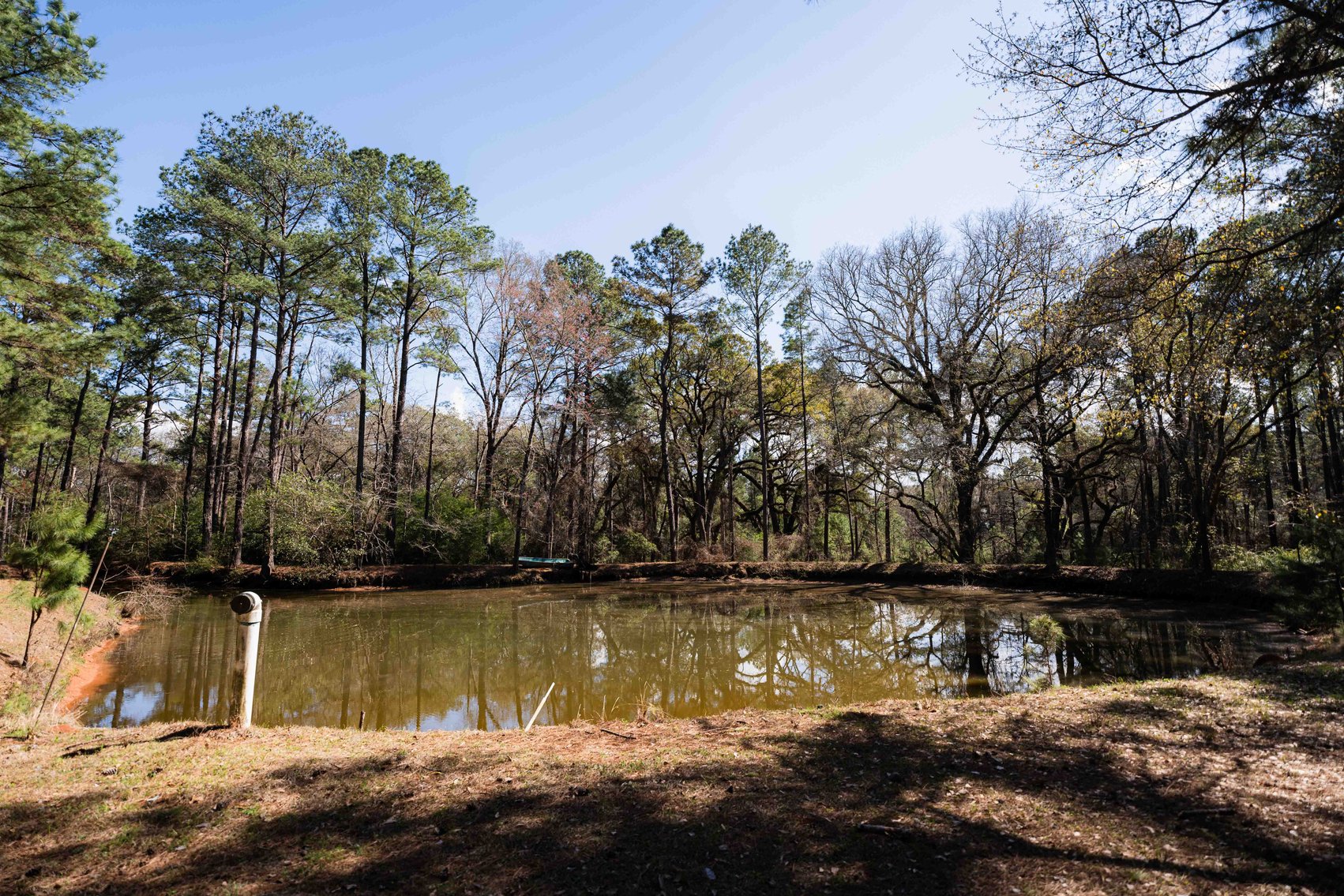 Image for Country Estate Home on 7.98± Acres | Albany, Georgia