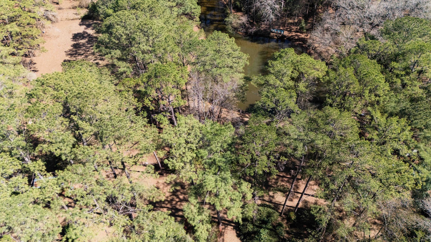 Image for Country Estate Home on 7.98± Acres | Albany, Georgia