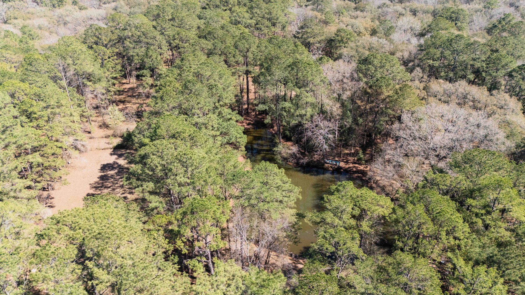 Image for Country Estate Home on 7.98± Acres | Albany, Georgia