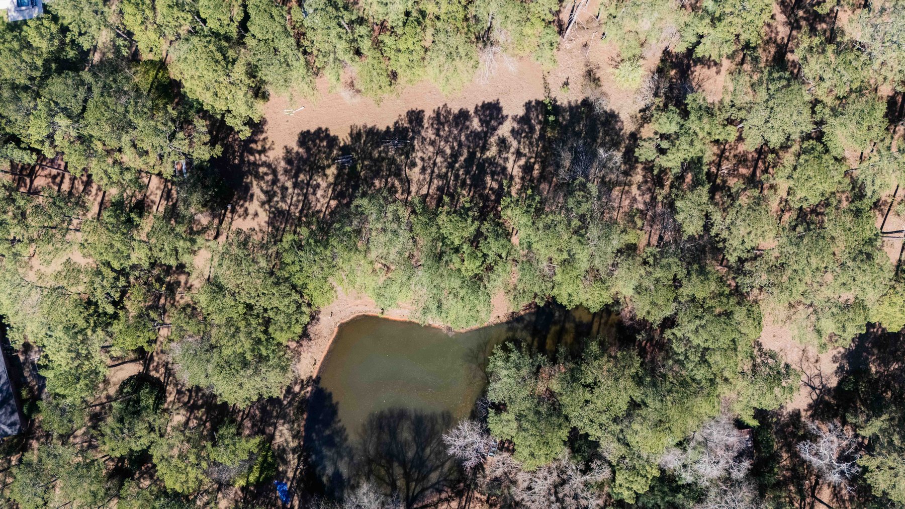 Image for Country Estate Home on 7.98± Acres | Albany, Georgia