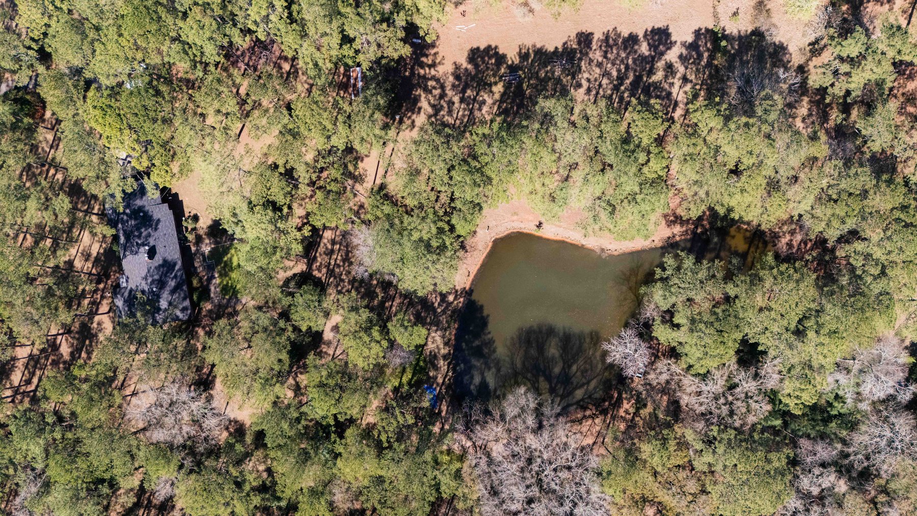 Image for Country Estate Home on 7.98± Acres | Albany, Georgia