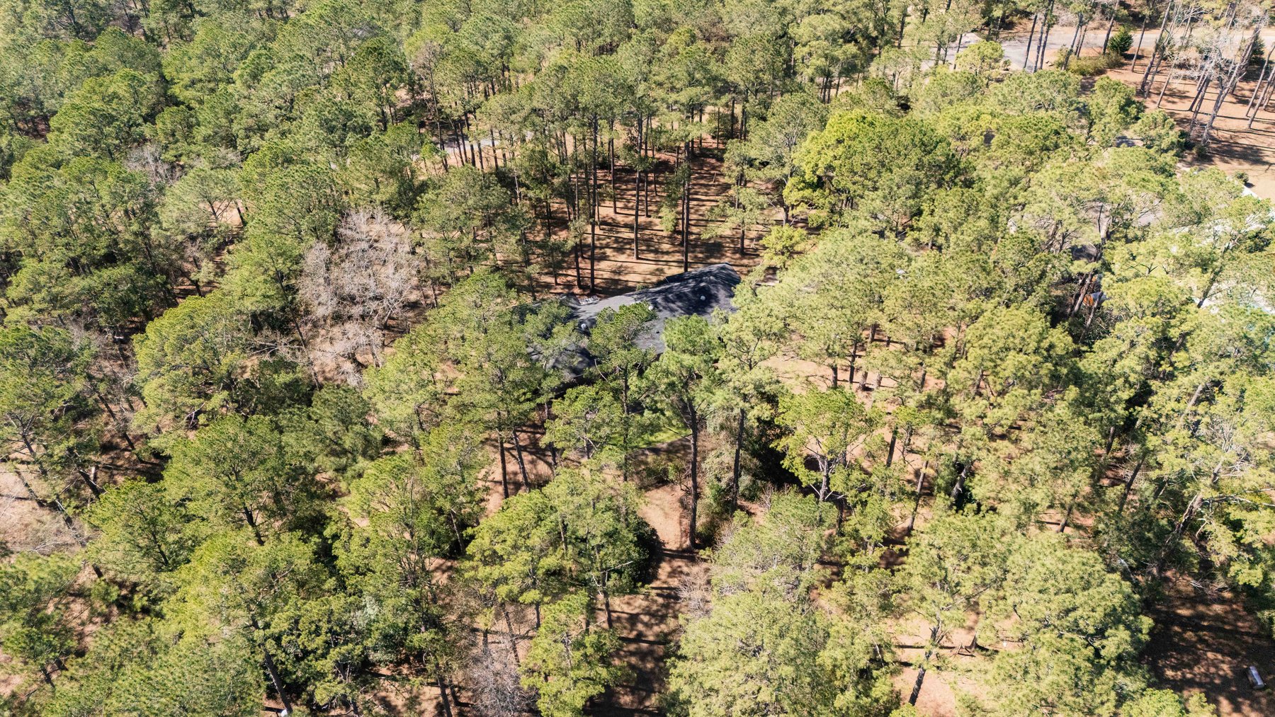 Image for Country Estate Home on 7.98± Acres | Albany, Georgia