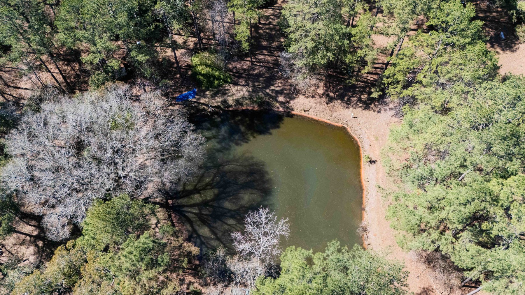 Image for Country Estate Home on 7.98± Acres | Albany, Georgia