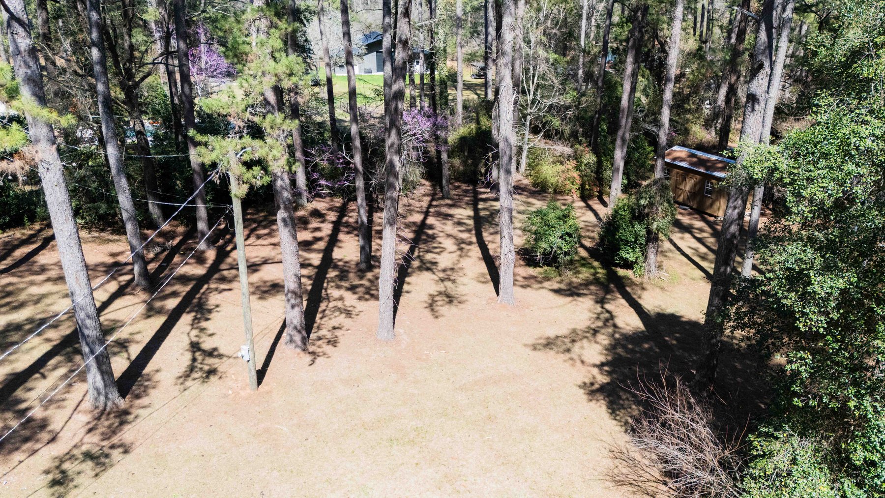 Image for Country Estate Home on 7.98± Acres | Albany, Georgia