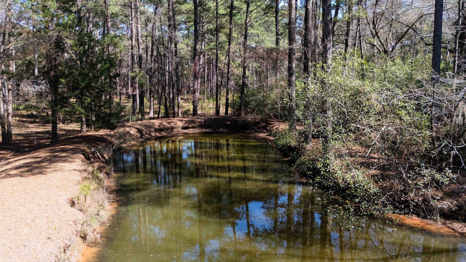 Image for Country Estate Home on 7.98± Acres | Albany, Georgia