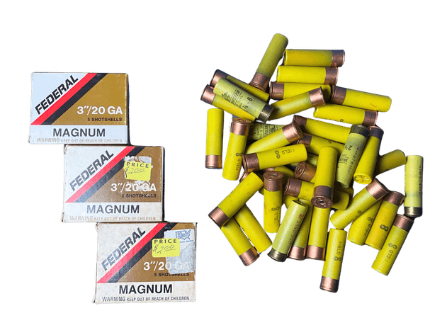 Image for Sportsman and Hunting Auction