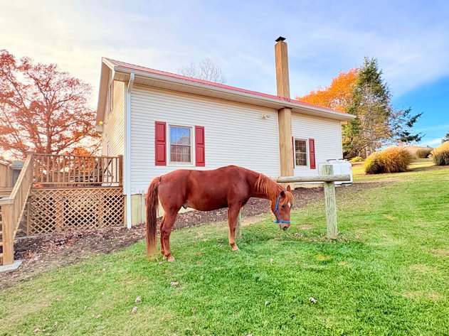 Image for 6.5 Acre Real Estate Auction