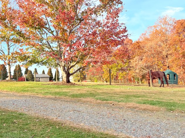 Image for 6.5 Acre Real Estate Auction