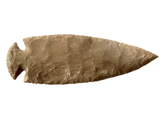 Image for Ammunition and Firearm Accessories Part 2