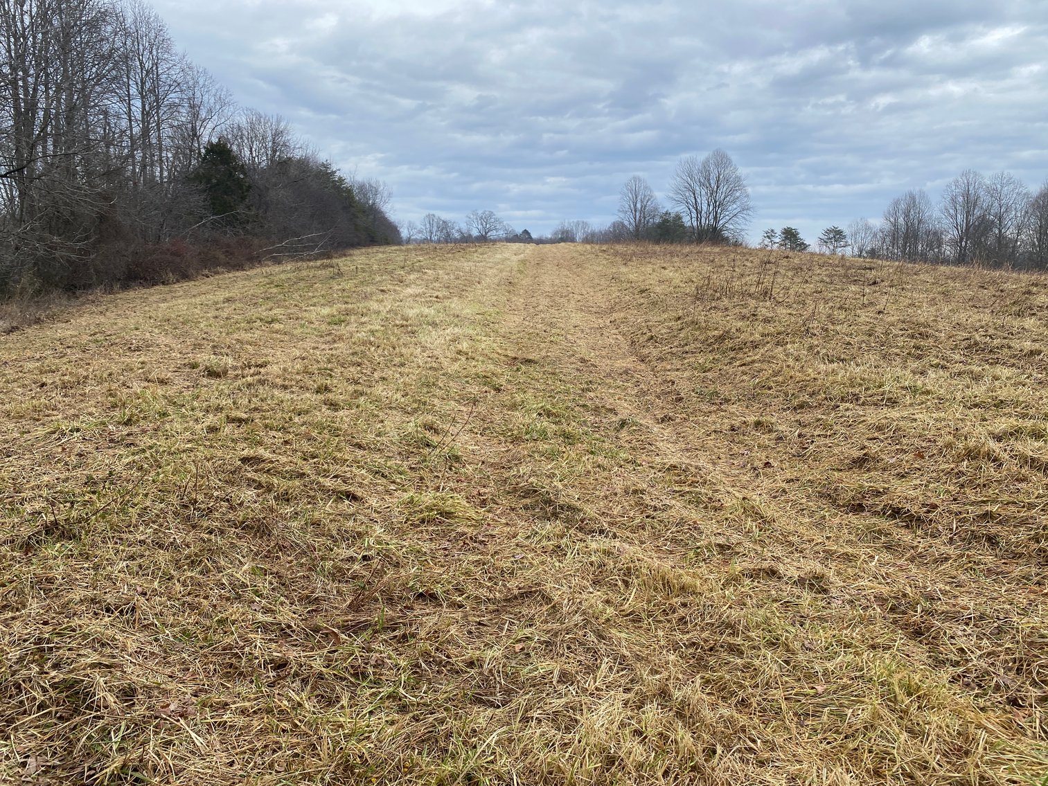 Image for Real Estate Auction - Home & 38± Acres in Dobson, NC