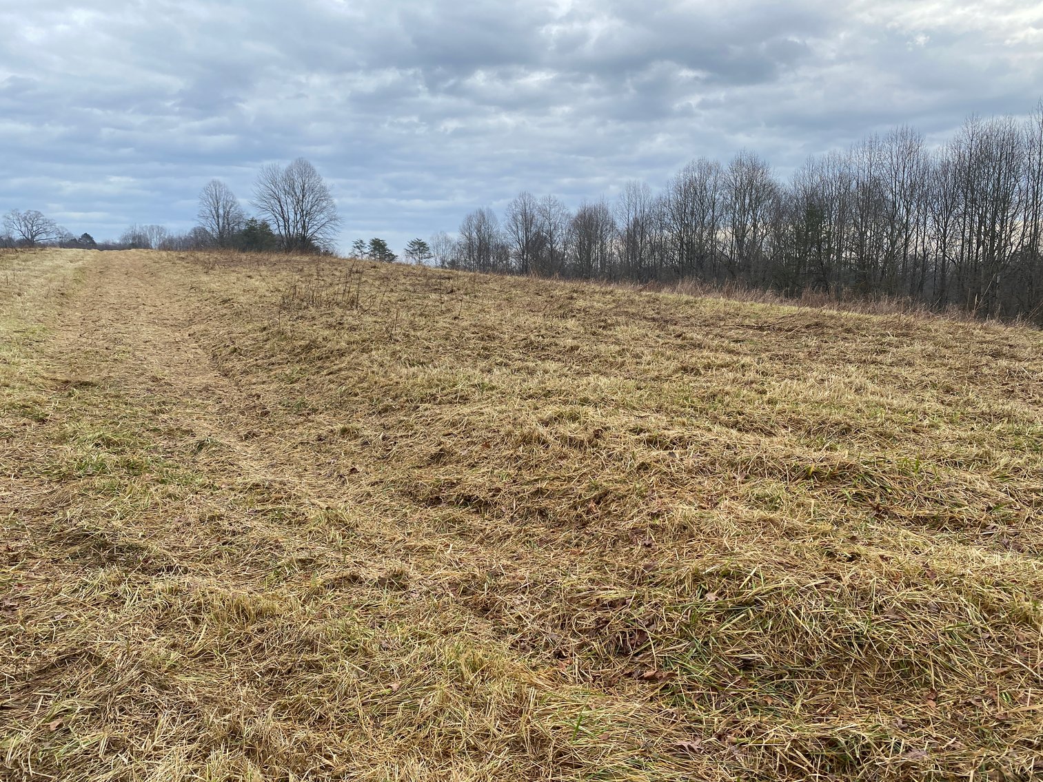 Image for Real Estate Auction - Home & 38± Acres in Dobson, NC