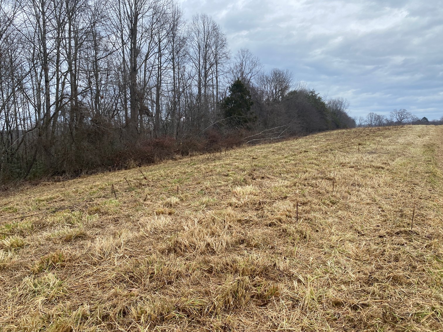 Image for Real Estate Auction - Home & 38± Acres in Dobson, NC