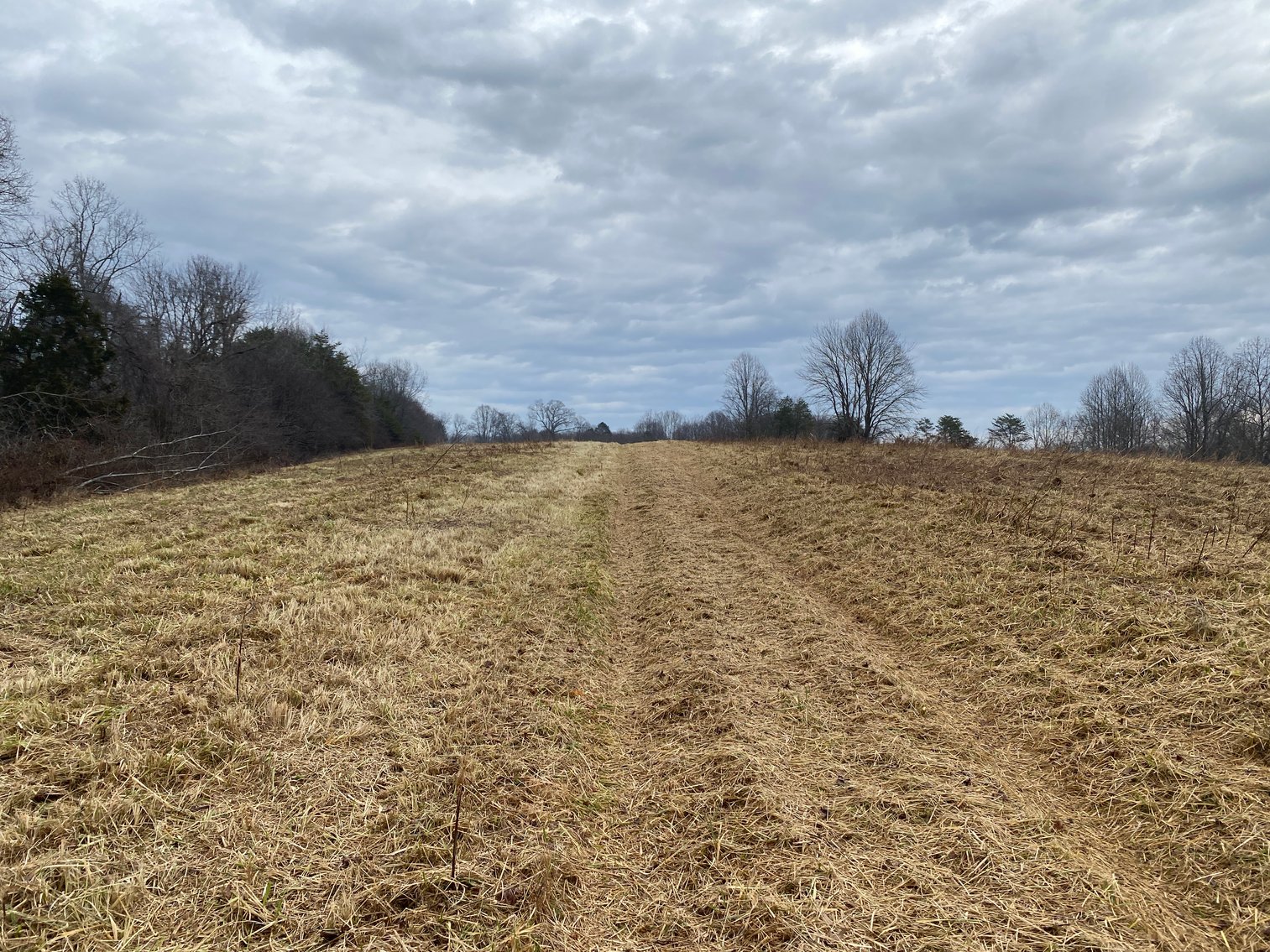 Image for Real Estate Auction - Home & 38± Acres in Dobson, NC