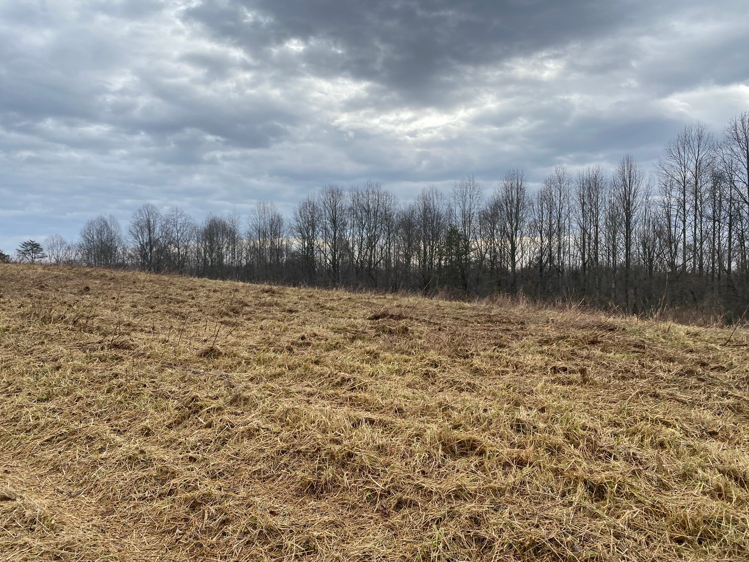 Image for Real Estate Auction - Home & 38± Acres in Dobson, NC