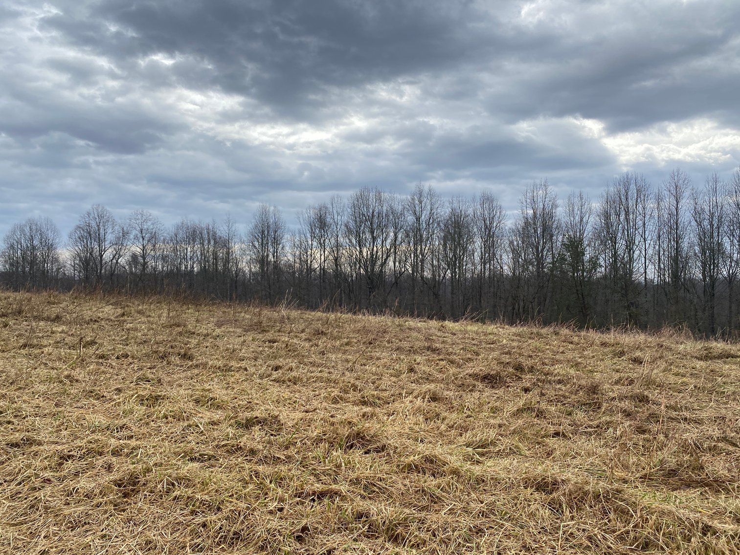 Image for Real Estate Auction - Home & 38± Acres in Dobson, NC