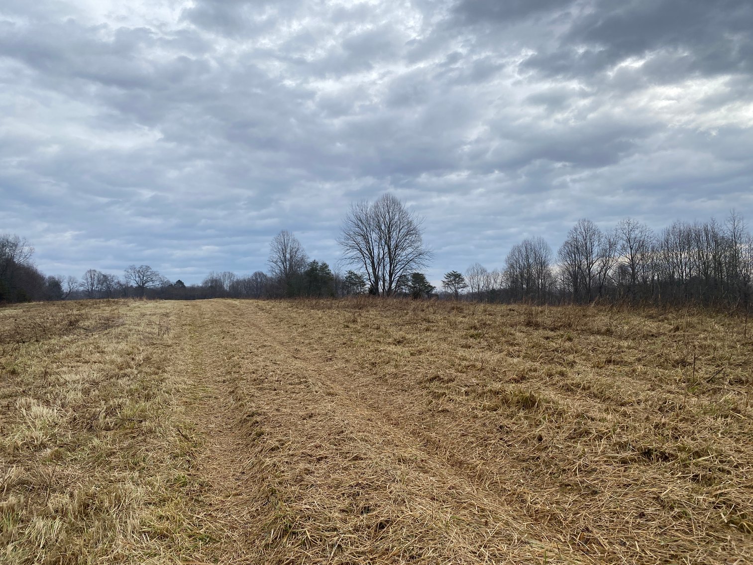 Image for Real Estate Auction - Home & 38± Acres in Dobson, NC